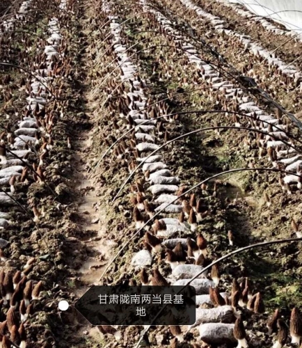 &#24320;&#20803;&#32593;&#31449;&#30331;&#24405;&#20837;&#21475;&#95;&#24320;&#20803;&#65288;&#20013;&#22269;&#65289;